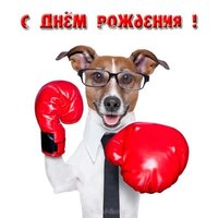 Открытка с днём рождения боксеру