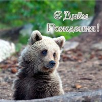 Открытка с днём рождения медвежонок
