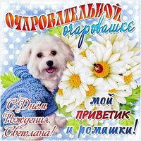 Открытка с днём рождения подруге Светлане