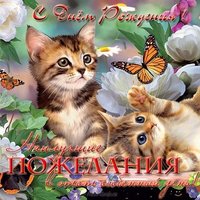 Открытка с днём рождения женщине с котятами
