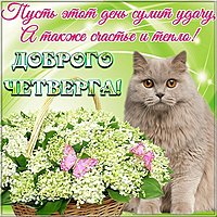Открытка с добрым днем четверга
