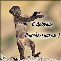 Открытка с добрым понедельником прикольная