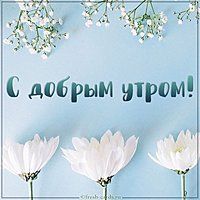 Открытка с добрым утром со цветами