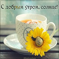 Открытка с добрым утром солнце