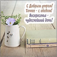 Открытка с добрым утром воскресенья прикольная