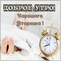 Открытка с добрым утром вторника удачного дня