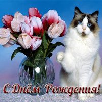 Открытка с кошечками с днем рождения