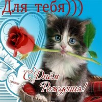 Открытка с кошками на день рождения