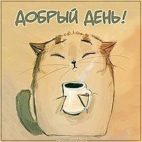 Открытка с котятами добрый день