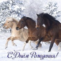 Открытка с лошадьми на день рождения