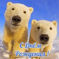 Открытка с медвежатами с днем рождения