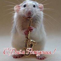 Открытка с мышками с днем рождения