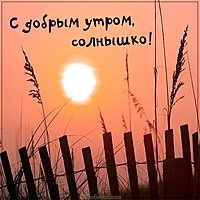 Открытка с надписью с добрым утром солнышко