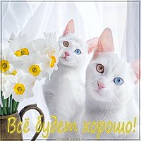 Открытка с надписью все будет хорошо