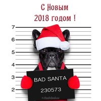 Открытка с новым годом годом собаки
