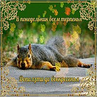 Открытка с понедельником прикольное поздравление
