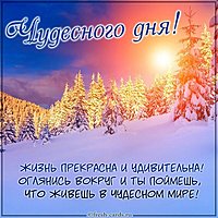 Открытка с пожеланием чудесного дня