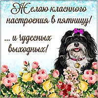 Открытка с пятницей удачных выходных