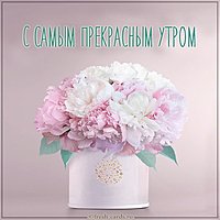 Открытка с самым прекрасным утром