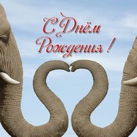 Открытка с слоном с днем рождения