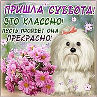 Открытка с субботой бесплатно
