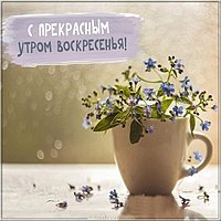 Открытка с воскресным утром бесплатно