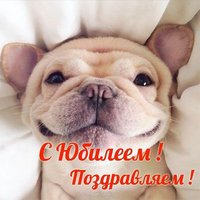 Открытка с юбилеем женщине прикольная и красивая