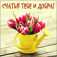 Открытка счастья тебе и добра
