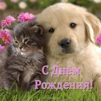 Открытка щенок с днем рождения
