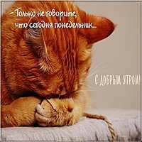 Открытка сегодня понедельник