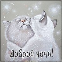 Открытка со словами доброй ночи