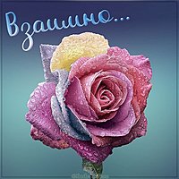 Открытка со словом взаимно
