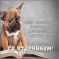 Открытка со вторником прикольная
