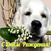Открытка собачка с днём рождения