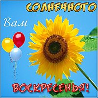 Открытка солнечного воскресенья