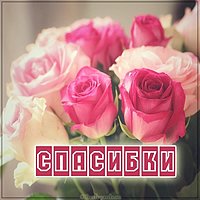 Открытка спасибки картинка