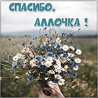 Открытка спасибо Аллочка