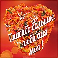 Открытка спасибо большое любимая