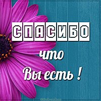 Открытка спасибо что вы есть