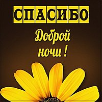 Открытка спасибо доброй ночи