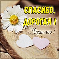 Открытка спасибо дорогая взаимно