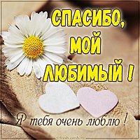 Открытка спасибо любимому мужчине