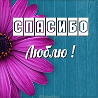 Открытка спасибо люблю