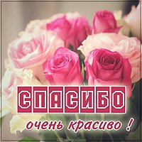 Открытка спасибо очень красиво