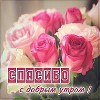 Открытка спасибо с добрым утром девушке