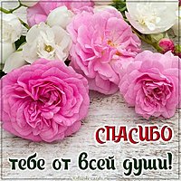 Открытка спасибо с цветами