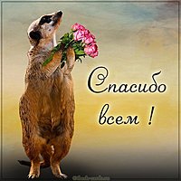 Открытка спасибо всем