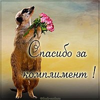 Открытка спасибо за комплимент