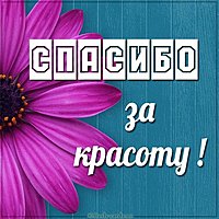 Открытка спасибо за красоту