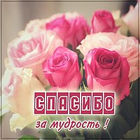 Открытка спасибо за мудрость